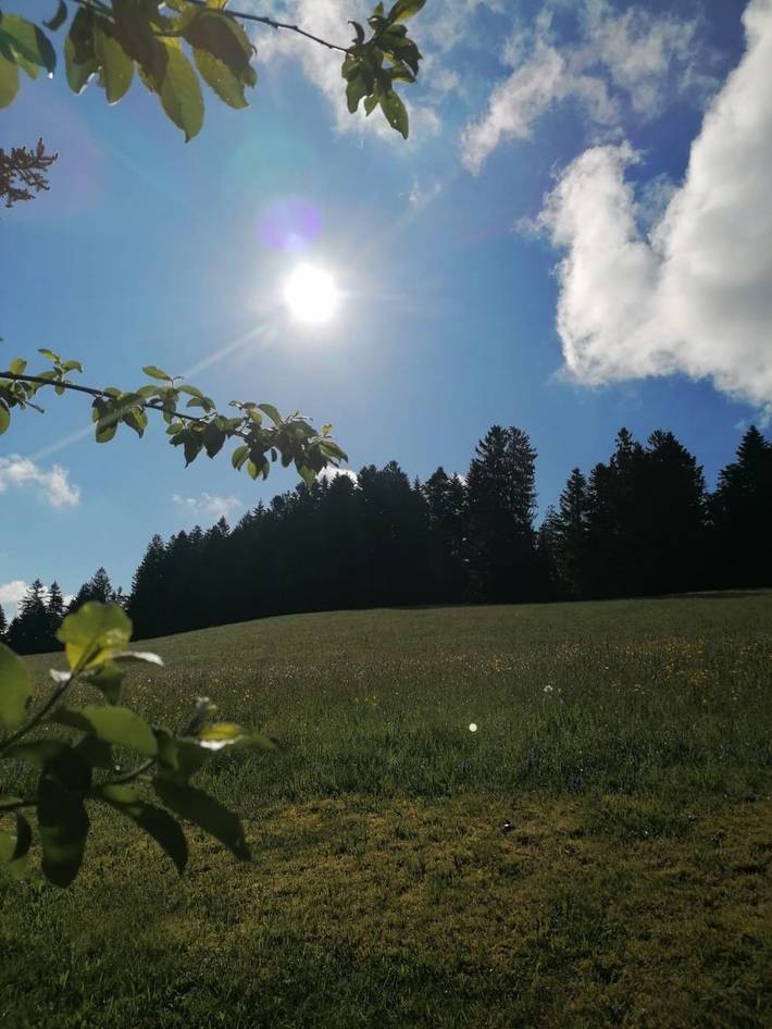 Ganze Ferienwohnung, Ferienwohnung Mangold mit Herz - Mangold mit Herz in Scheidegg, Bayerisch Schwaben