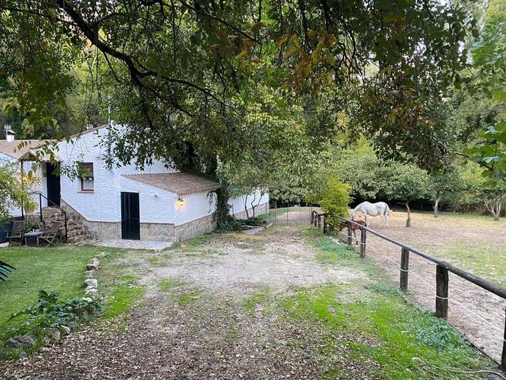 Apartamento de vacaciones para 2 personas, con Jacuzzi y Jardín en Sierra de Grazalema - 2