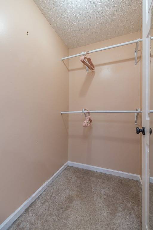 Relaxing Hot Tub | S’mores Fire Pit | Garage in Lexington, Kentucky