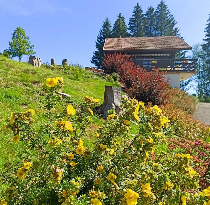 Chalet pour 3 personnes, avec jardin et terrasse