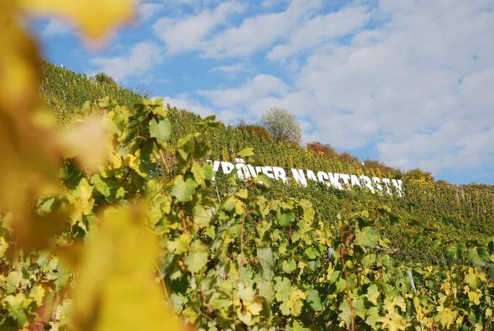 Chambre d’hôte pour 4 personnes, avec terrasse ainsi que vue et jardin, animaux acceptés à Kröv - 2