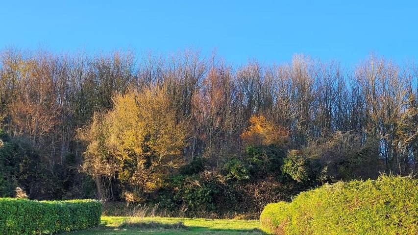 Gîte pour 2 personnes, avec terrasse ainsi que vue et jardin, animaux acceptés à Tournehem-sur-la-Hem - 4