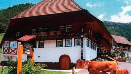 Ferienwohnung für 6 Personen in Elzach, Hochschwarzwald, Bild 2