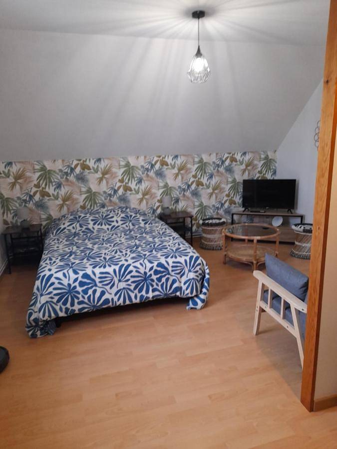 Appartement de vacances entier, Chambre Chez Lionel in Mur-de-Sologne, Sologne