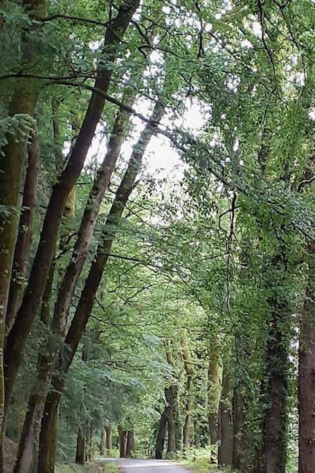 Appartement de vacances pour 4 personnes, avec jardin dans Haute-Vienne - 4