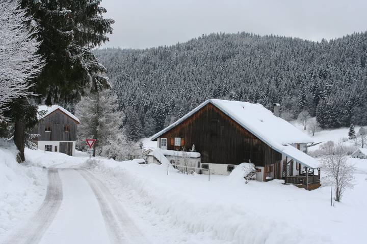Ferienhaus für 12 Personen, mit Garten und Terrasse sowie Sauna - 1