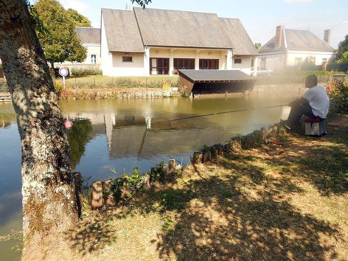 Chambre d’hôte pour 5 personnes, animaux acceptés en Indre-et-Loire - 4