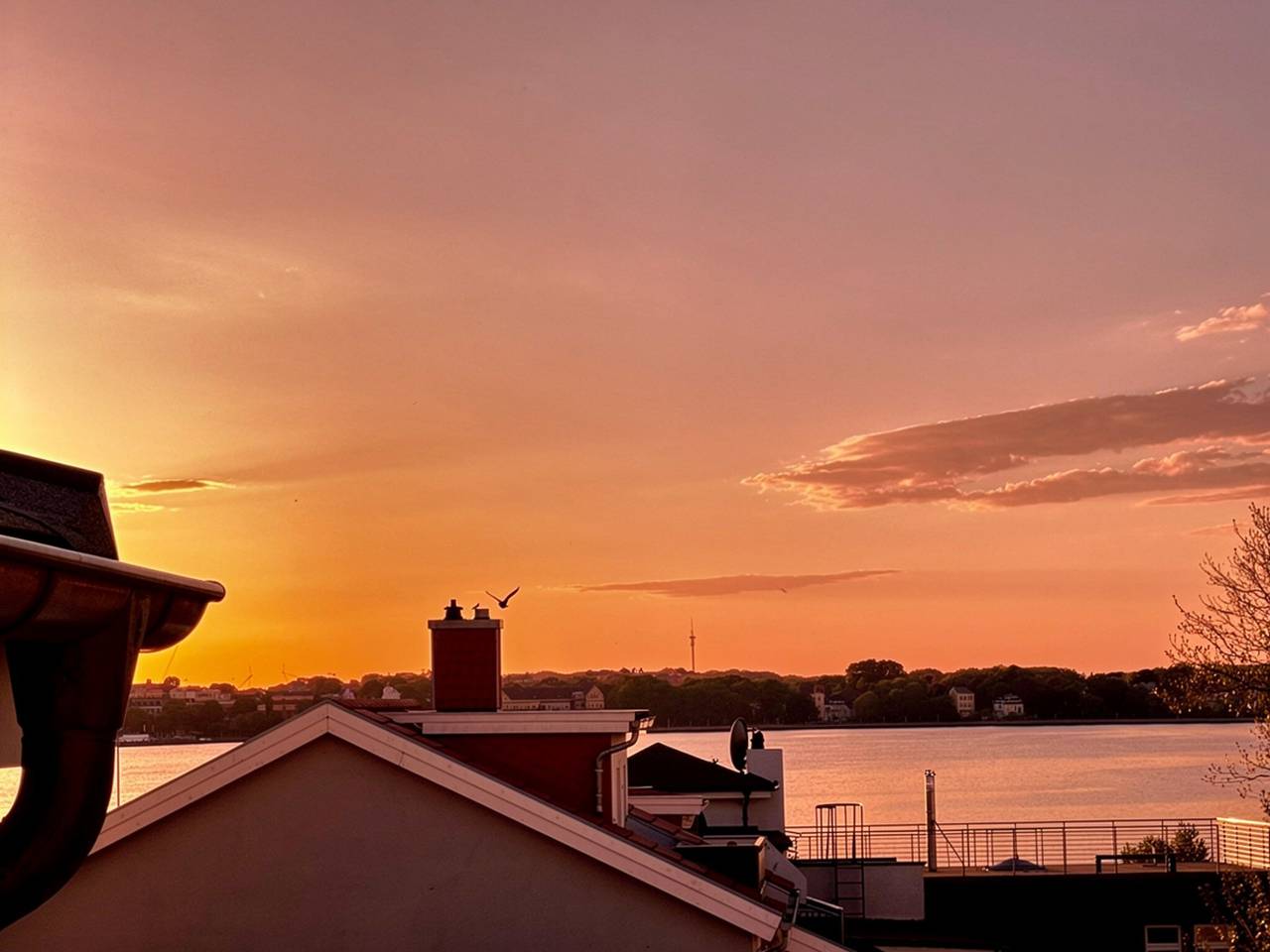 Ganze Wohnung, Ferienwohnung 'Panoramablick' mit Meerblick, Wi-Fi und Balkon mit Abendsonne in Altefähr, Rügen