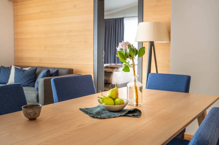 Hütte für 4 Personen, mit Sauna und Balkon, mit Haustier in Silvretta Montafon