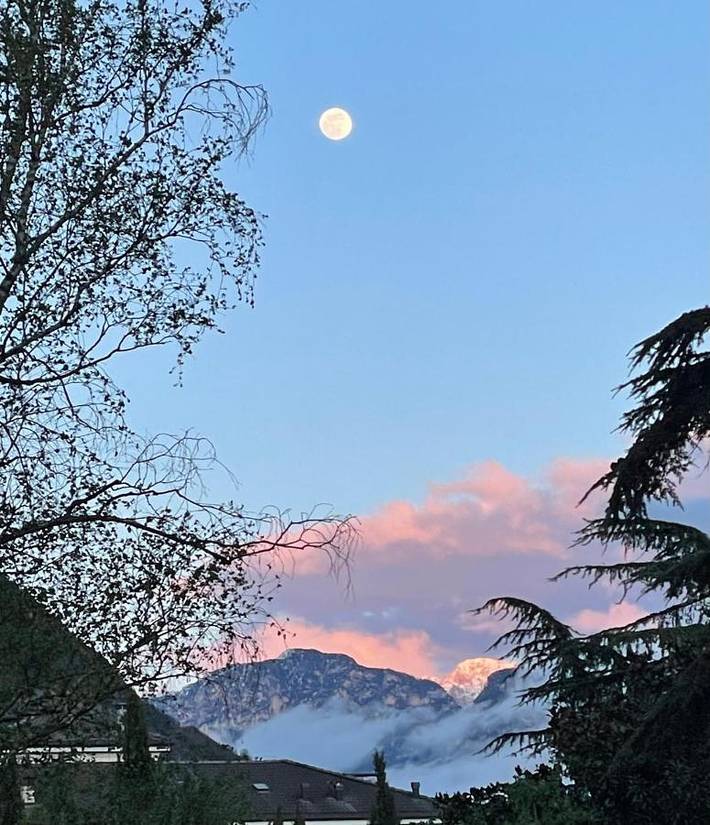 Chambre d’hôte pour 2 personnes, avec terrasse, animaux acceptés à Bolzano - 2