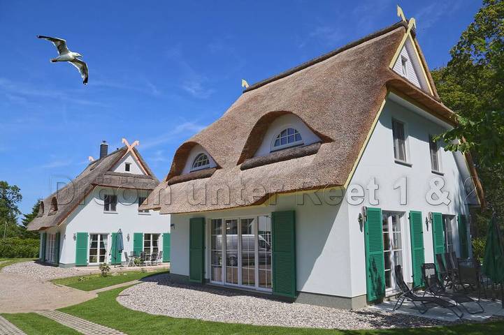 Holiday home for 9 people, with terrace and garden - 1
