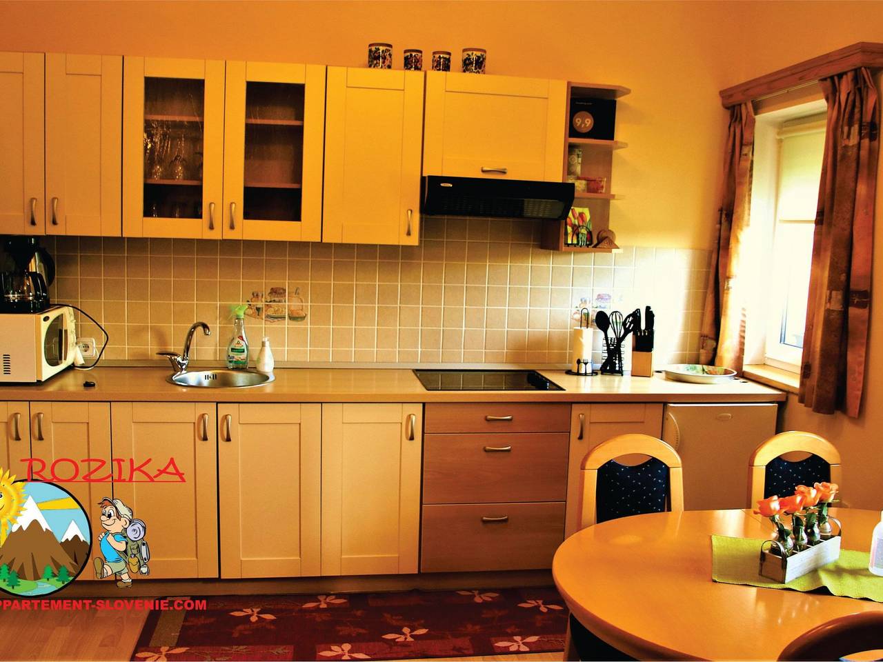 Ganze Wohnung, Wohnung Rozika in Karawanken und Bachergebirge, Windischgrätz