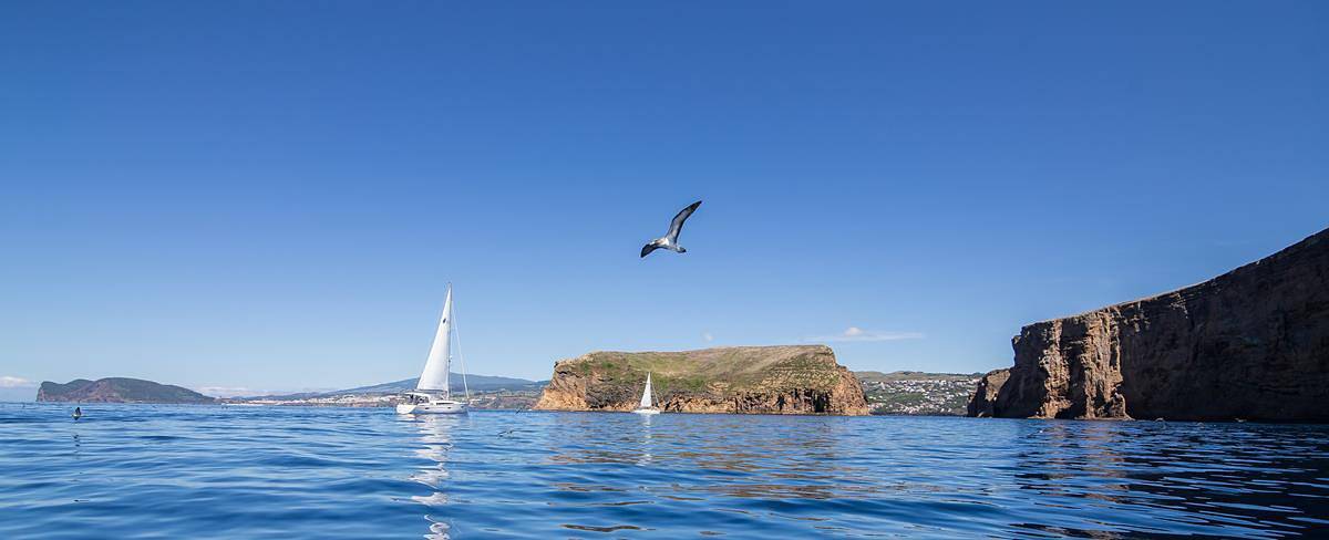 Bateau pour 4 personnes in Angra do Heroísmo, Açores