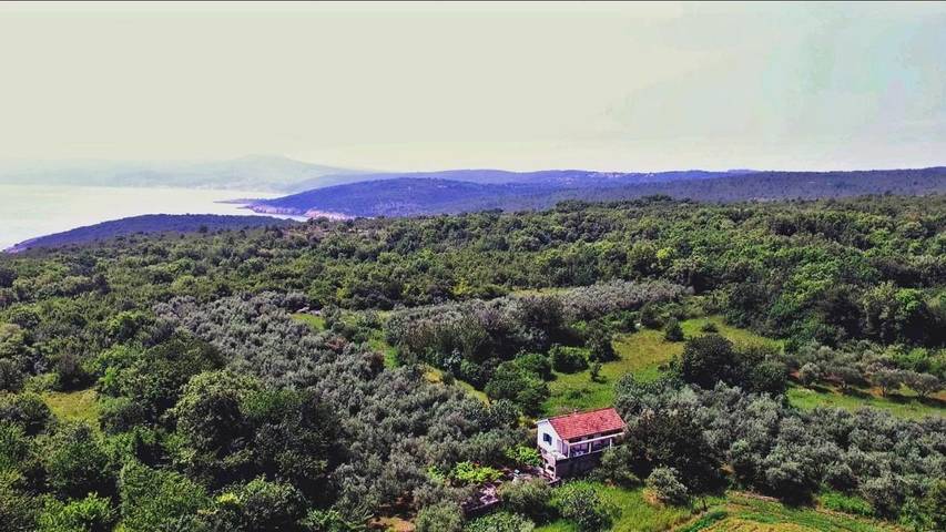 Cottage pour 6 personnes, avec terrasse et jardin, animaux acceptés