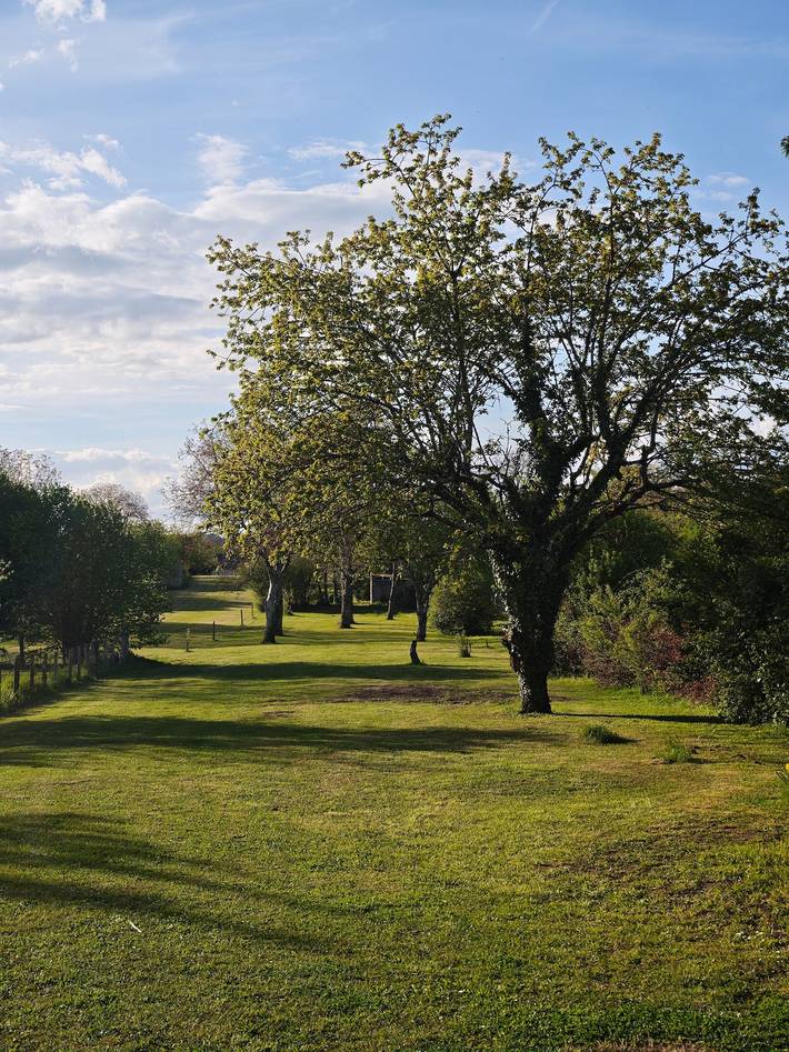 Chambre d’hôte pour 7 personnes, avec jacuzzi et jardin, animaux acceptés en Bourgogne-Franche-Comté