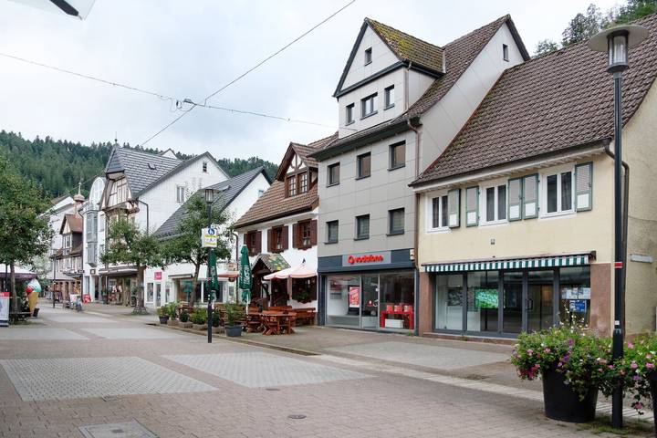 Ganze Wohnung, Ferienwohnung 'Emma' mit Wi-Fi in Schramberg, Mittlerer Schwarzwald