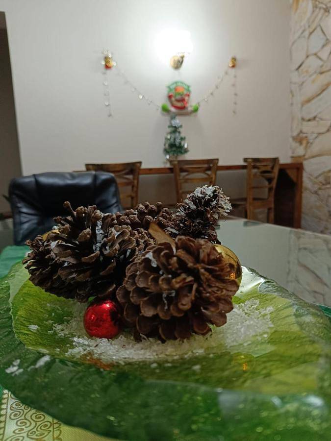 Casas e apartamentos de temporada para 10 pessoas, com jardim e piscina e ainda vista, com animais de estimação em Jabaquara