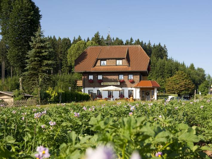 Ferienhaus für 2 Personen, mit Balkon/Terrasse und Balkon sowie Terrasse und Garten in Titisee-Neustadt
