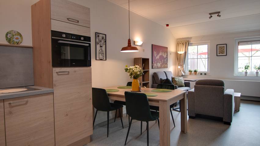 Ferienhaus für 2 Personen, mit Terrasse und Garten in Losser - 3