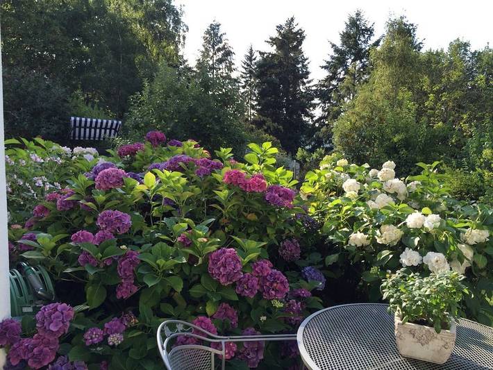 Ferienhaus für 4 Personen, mit Terrasse und Garten sowie Sauna in Schweich an der Römischen Weinstraße - 2