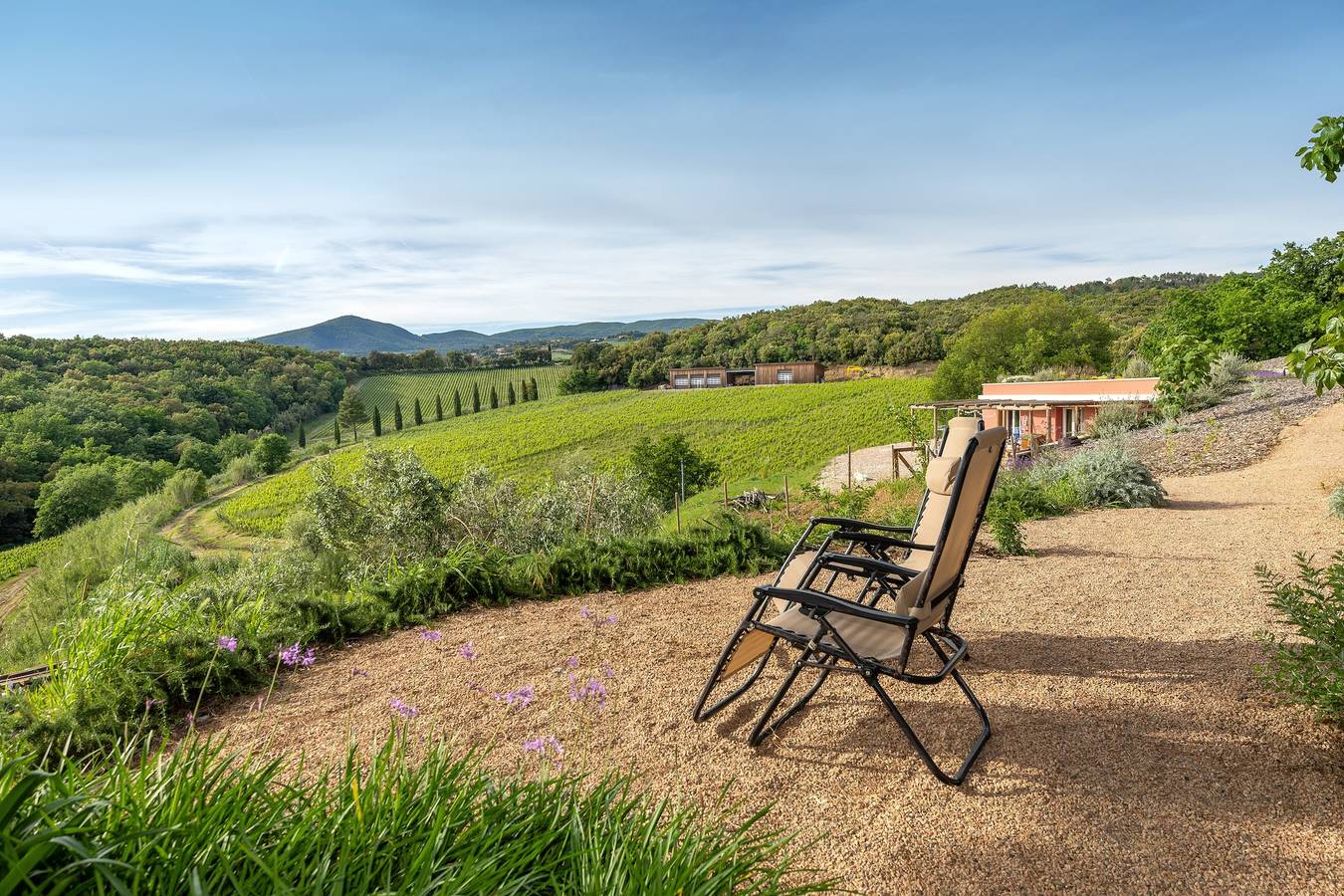 Ganze Wohnung, Apartment 'Podere Terraviva - Apt Ginestra' mit Meerblick, Gemeinschaftspool und Wlan in Riparbella, Etruskische Küste