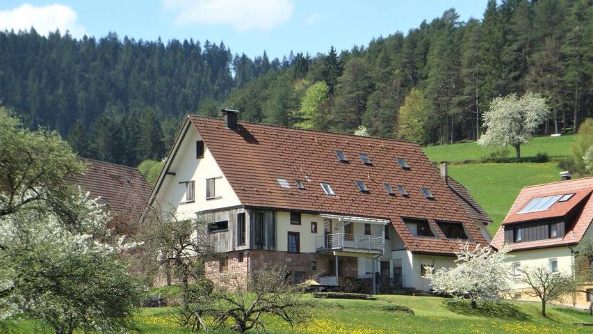 Hütte für 4 Personen, mit Ausblick und Terrasse sowie Garten, mit Haustier in Baiersbronn