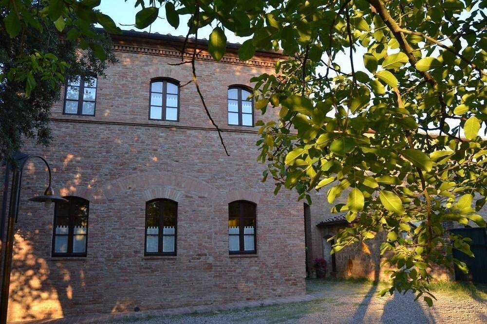 Casanovadilucignano Lavanda in Monteroni d'Arbia, Siena Provinz