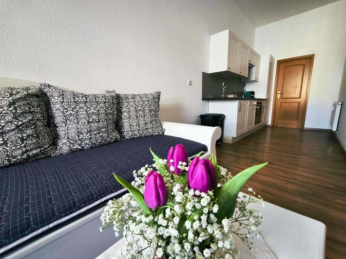 Ferienwohnung für 3 Personen, mit Terrasse und Garten, mit Haustier in Mühlhausen - 4
