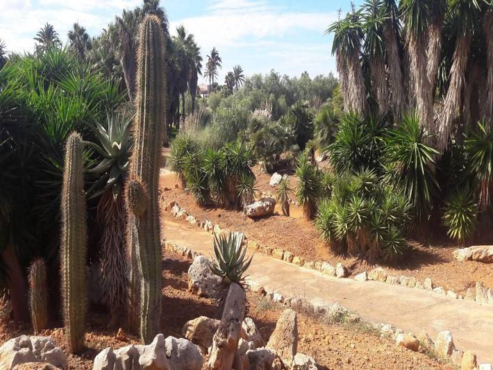 Finca für 6 Personen, mit Pool und Garten, mit Haustier in Ses Salines - 2