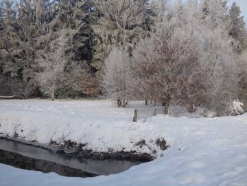 Ferienwohnung für 5 Personen in Ostrhauderfehn, Oldenburger Münsterland, Bild 4