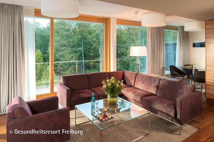 Hotel für 10 Personen, mit Sauna und Garten in Freiburg - 2