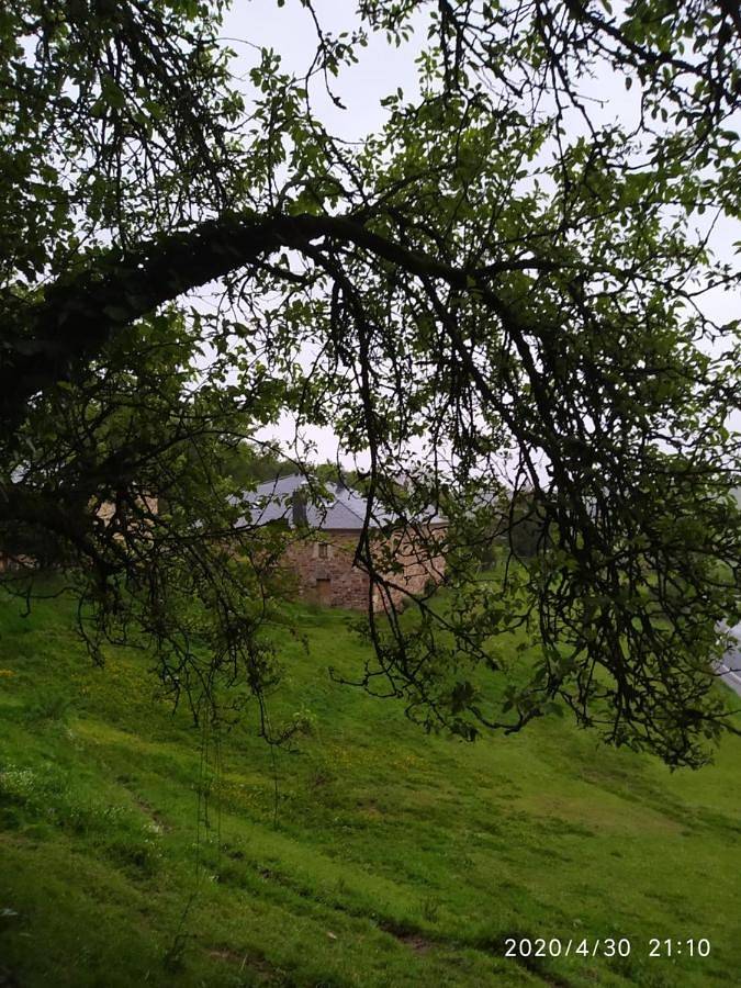 Apartamento de vacaciones para 4 personas, con jardín y terraza, Se admiten mascotas en Provincia de Lugo - 4