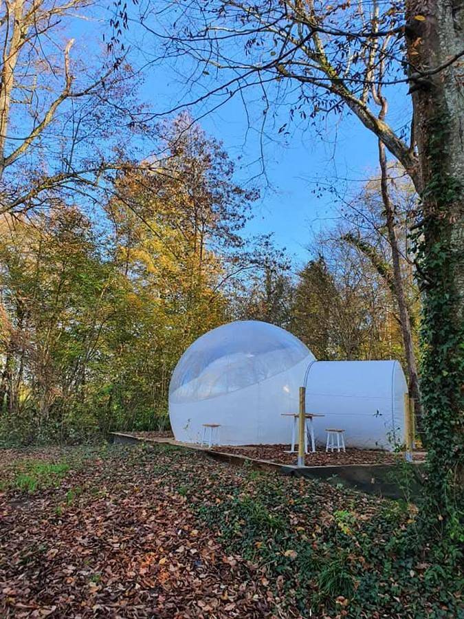 Chambre d’hôte pour 2 personnes, avec jacuzzi ainsi que jardin et piscine dans l' Aube - 2