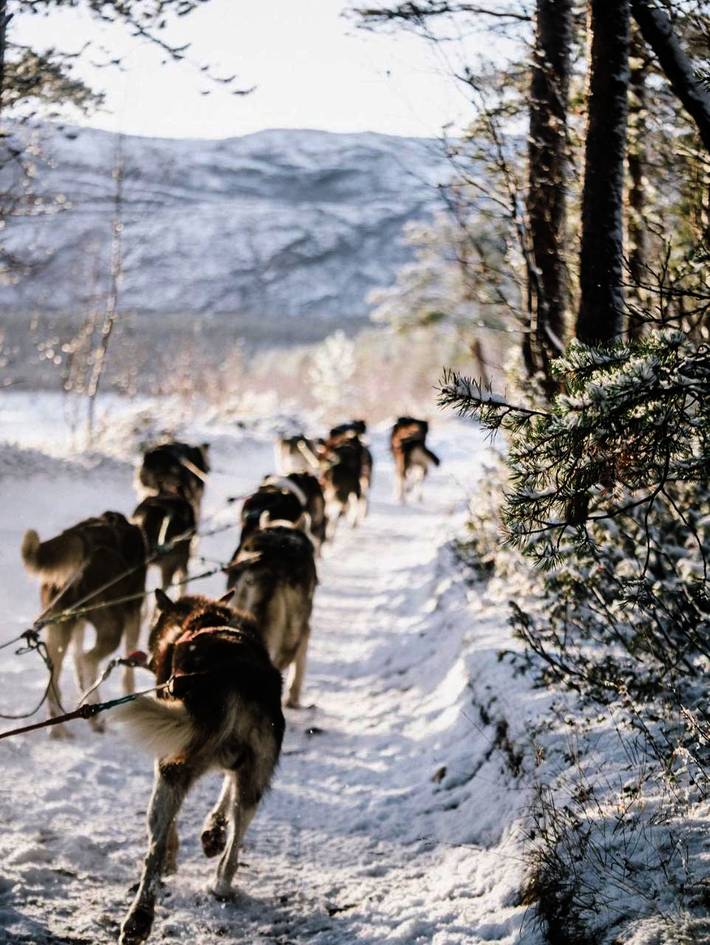 Lodge für 3 Personen, mit Sauna und Garten, kinderfreundlich in Finnmark - 4