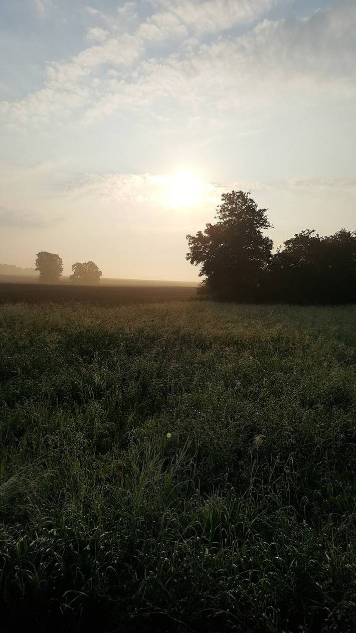 Ferienwohnung für 3 Personen, mit Garten und Terrasse, kinderfreundlich in Blankensee (Mecklenburg) - 4