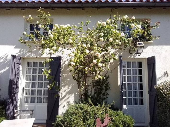 Gîte pour 8 personnes, avec piscine ainsi que jardin et terrasse en Gironde - 3