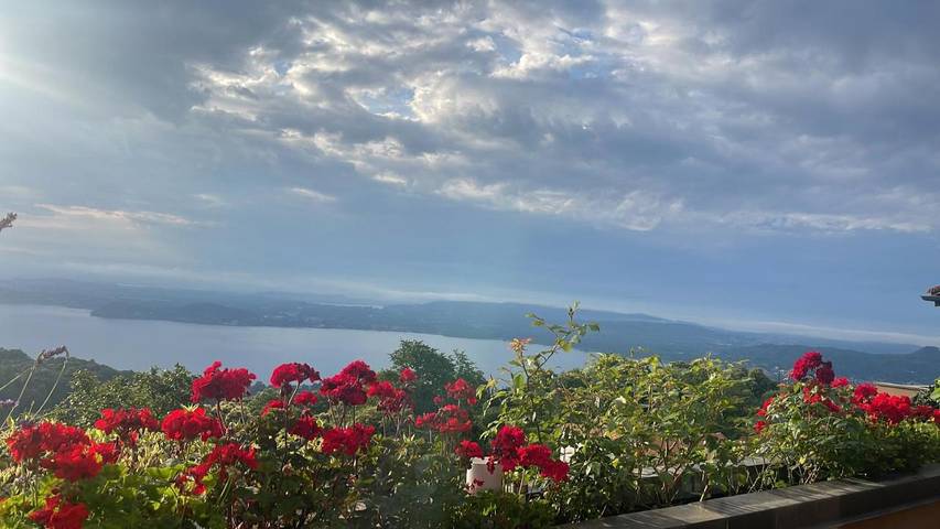 Gîte pour 6 personnes, avec vue ainsi que vue sur le lac et terrasse, animaux acceptés dans Massino Visconti - 2