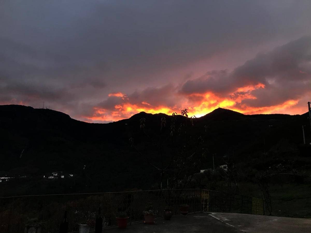 "Casa Da Russa" Mountain Experience in Serra do Marão, Vila Real (Cidade)