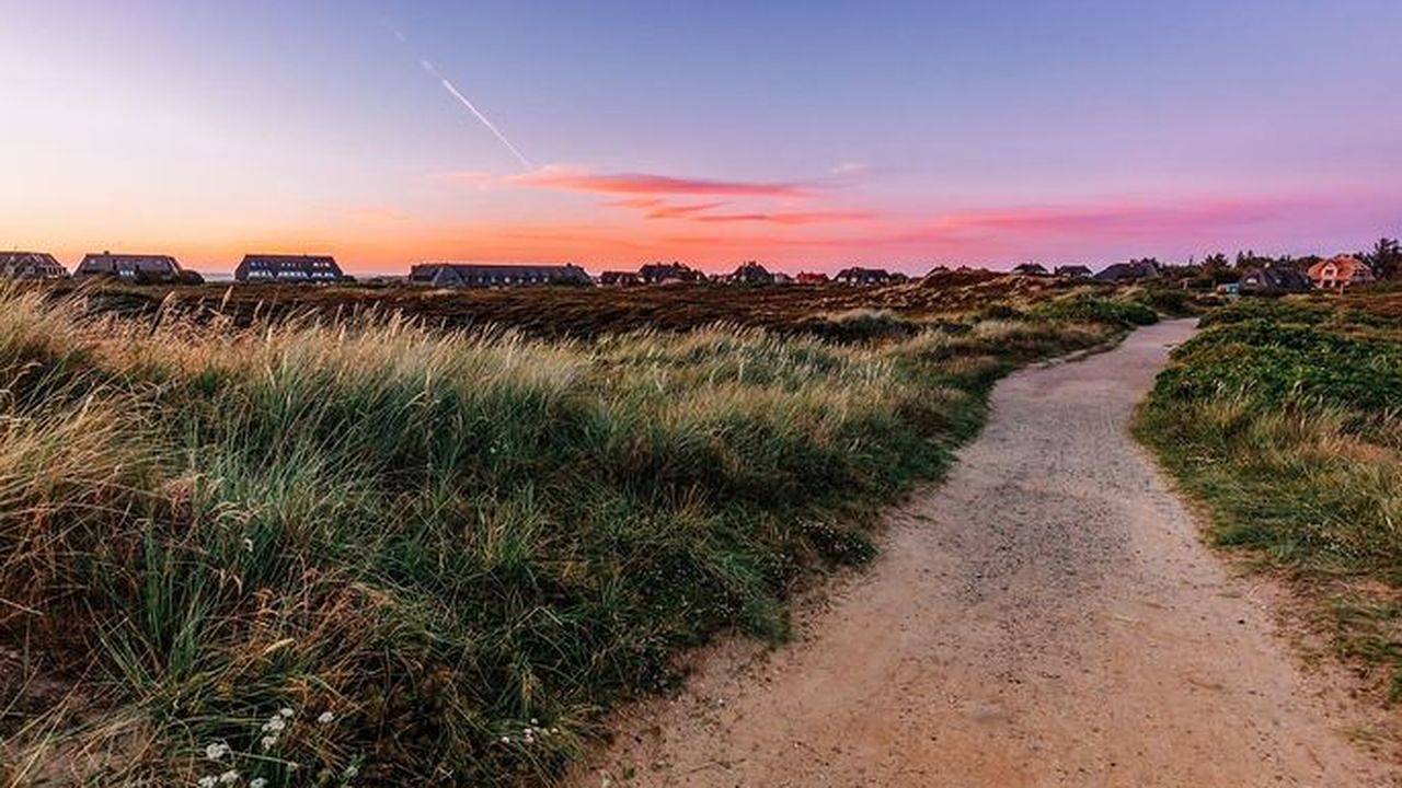 Ganze Ferienwohnung, Ferienwohnung für 4 Personen (80 m²) in Kampen in Kampen (Sylt), Sylt