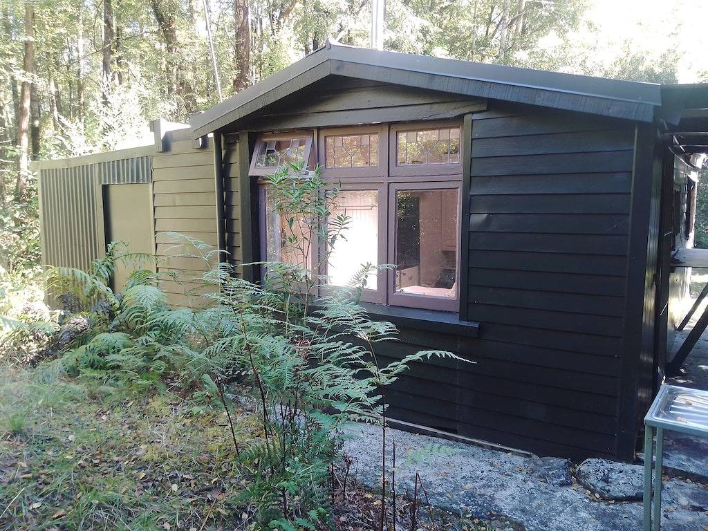 Ruhiger, abgelegener, ikonischer Buschbach in West Coast (Neuseeland)