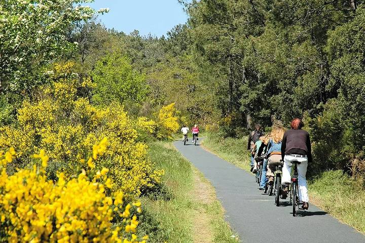 Mobil home pour 4 personnes, avec terrasse et piscine, animaux acceptés à Ondres - 4