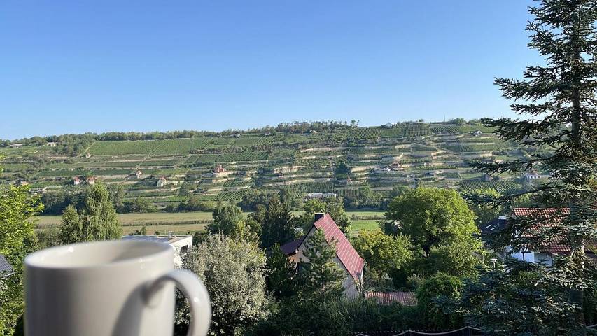 Ferienwohnung für 2 Personen, mit Garten und Ausblick in Freyburg (Unstrut) - 3