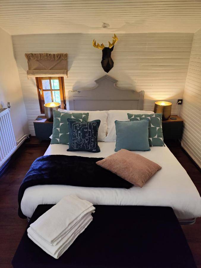 Location de vacances pour 6 personnes, avec piscine et jardin à Fenouillet (Haute-Garonne) - 3