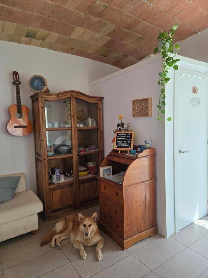 Location de vacances pour 6 personnes, avec Balcon et Terrasse ainsi que Jardin et Vue à Gérone - 4