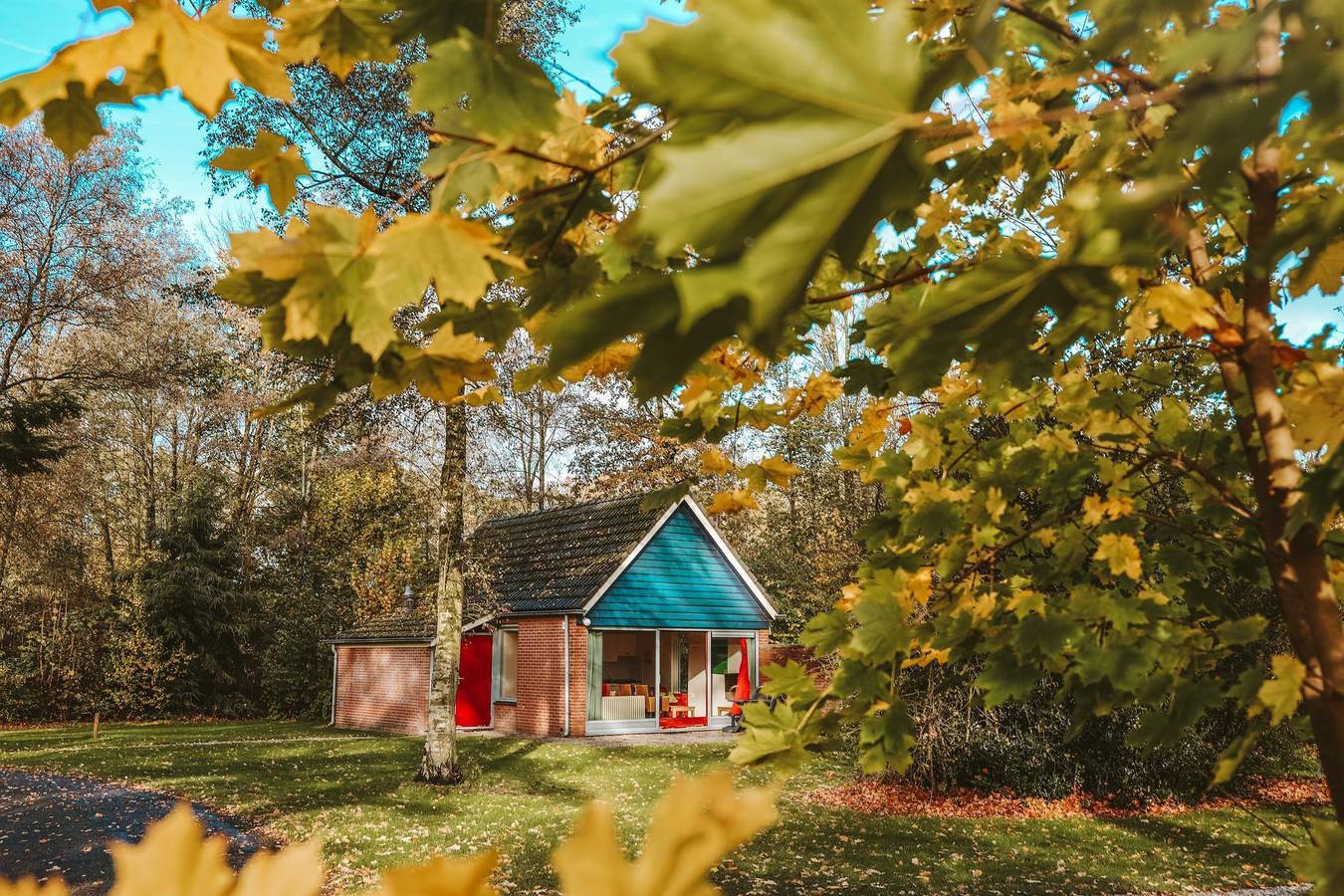 Vakantiepark Sallandshoeve — 4 - 8-Personen-Bungalow Ijssel Plus in Sallandse Heuvelrug