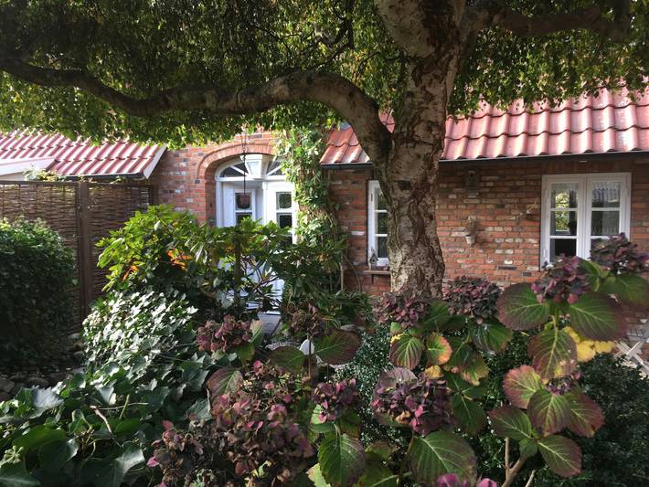 Ferienhaus für 4 Personen, mit Terrasse und Garten in Oevenum - 4