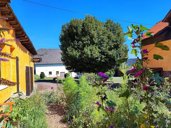 Bauernhof für 7 Personen, mit Garten und Terrasse in Rheinland-Pfalz - 4