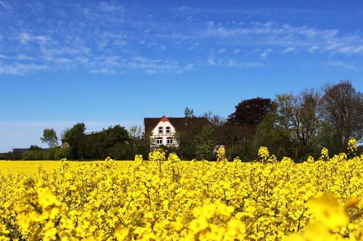 Ferienhaus für 5 Personen, mit Terrasse und Garten sowie Sauna in Norderbrarup