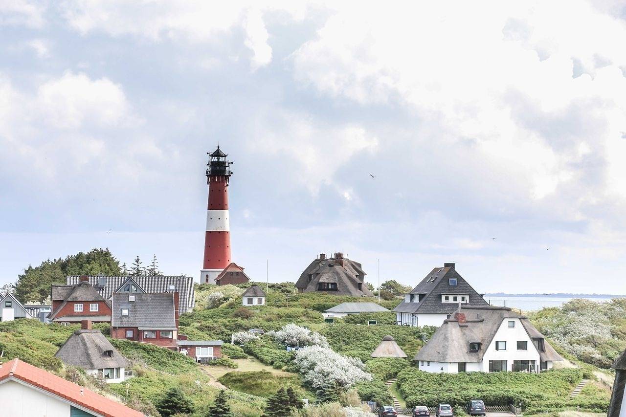Ganze Ferienwohnung, Seelöwe in Hörnum, Sylt