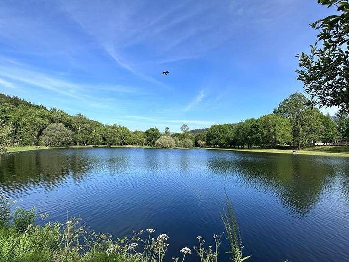 Gîte pour 5 personnes, avec vue ainsi que vue sur le lac et balcon dans Ponte da Barca - 4